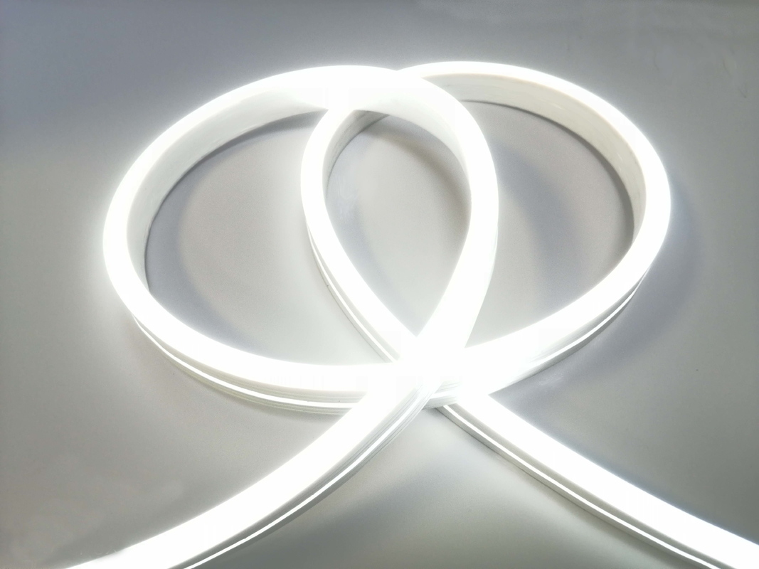 2835 LED Flexible Neon Led Strip Light 5 Meters IP67 24V DC Multipurpose
